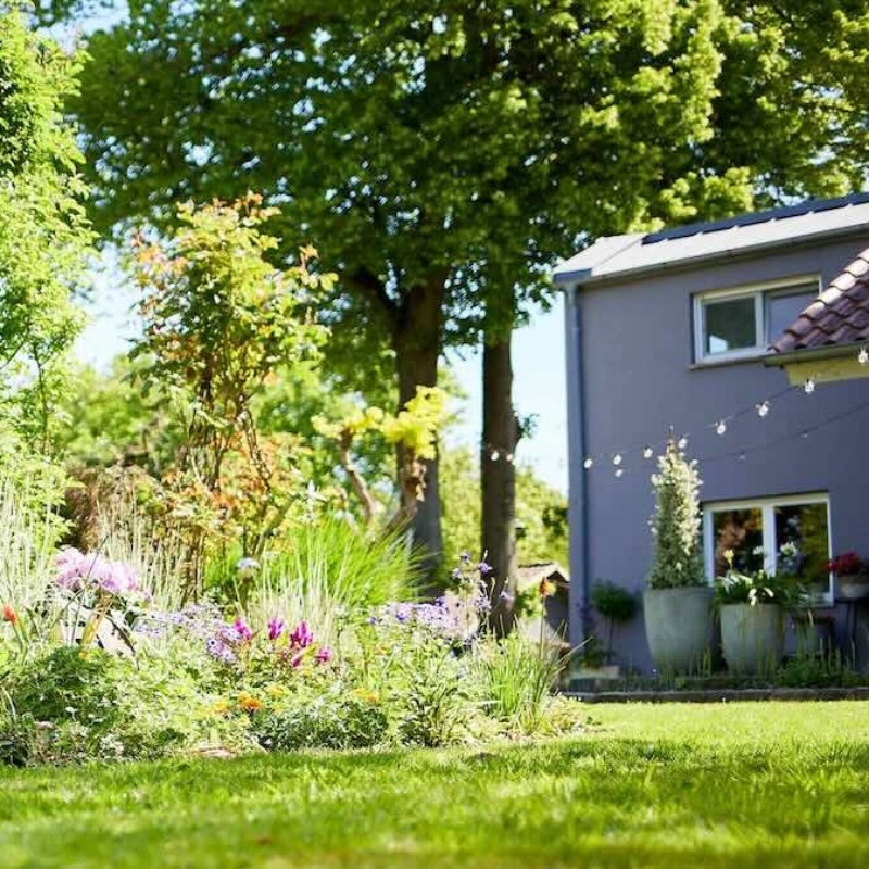 Ein üppiger Garten mit bunten Blumen, hölzernen Pfosten und einem Haus im Hintergrund unter einem strahlend blauen Himmel, umgeben von Bäumen.