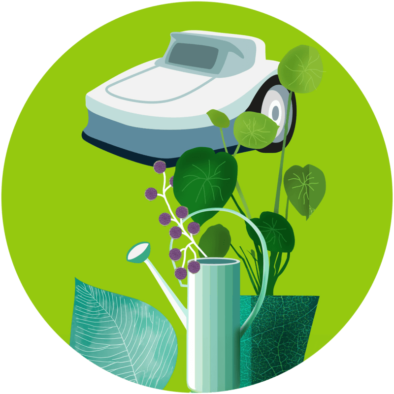 Eine verspielte Illustration mit einem Auto, das über verschiedene grüne Pflanzen schwebt, und einer Gießkanne auf einem leuchtend grünen Hintergrund.